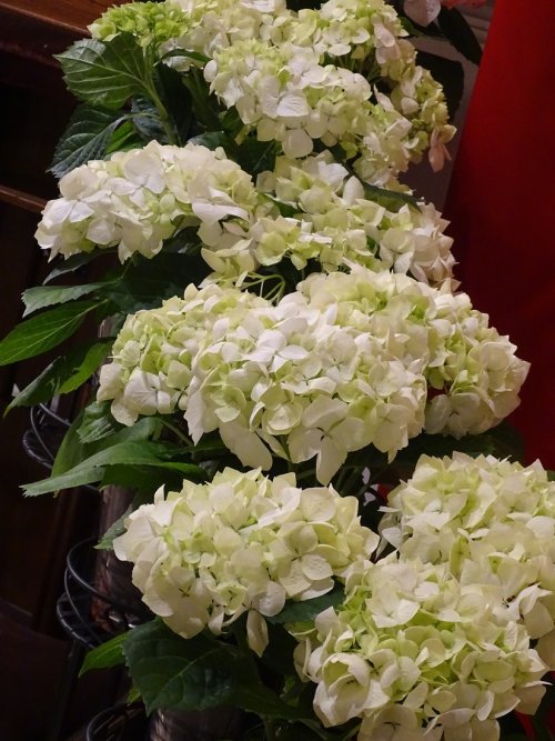 DSC01207